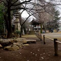 投稿日:2025年1月25日 写真