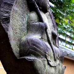 投稿日:2025年1月25日 写真