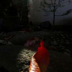 投稿日:2025年1月28日 写真