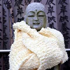 投稿日:2025年1月25日 写真