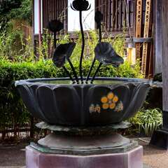 投稿日:2025年1月25日 写真