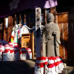 投稿日:2025年1月28日 写真