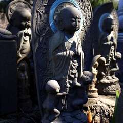 投稿日:2025年3月9日 写真