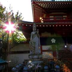 投稿日:2025年1月28日 写真