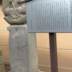 投稿日:2021年12月22日 写真