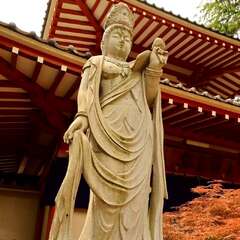 投稿日:2025年1月28日 写真