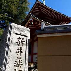 投稿日:2025年1月28日 写真