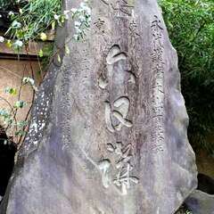 投稿日:2025年1月25日 写真