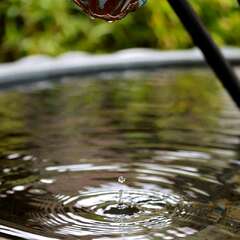 投稿日:2025年1月25日 写真