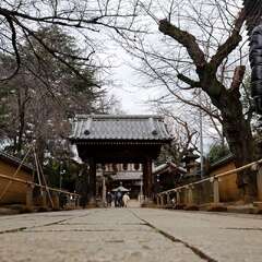 投稿日:2025年1月25日 写真