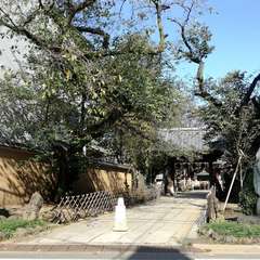 投稿日:2021年10月4日 写真