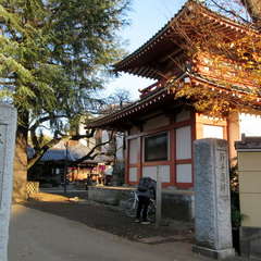 投稿日:2021年2月17日 写真