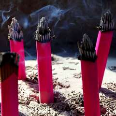 投稿日:2025年1月28日 写真