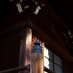 投稿日:2025年2月2日 写真