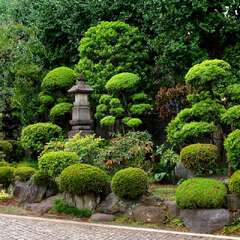 投稿日:2025年2月2日 写真