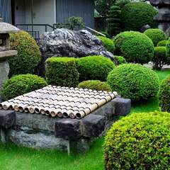 投稿日:2025年2月2日 写真