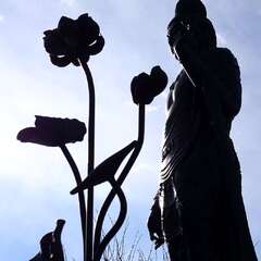 投稿日:2025年2月2日 写真