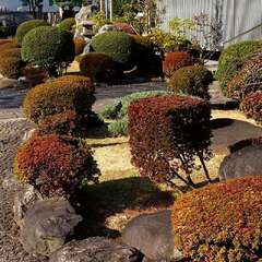 投稿日:2025年2月2日 写真