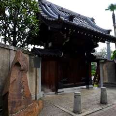 投稿日:2025年2月2日 写真