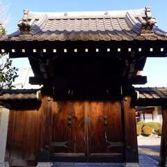 投稿日:2025年2月2日 写真