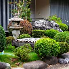 投稿日:2025年2月2日 写真