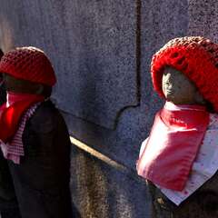 投稿日:2025年2月2日 写真