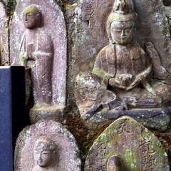 投稿日:2025年2月2日 写真