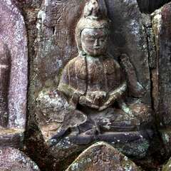 投稿日:2025年2月2日 写真