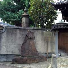 投稿日:2016年8月2日 写真