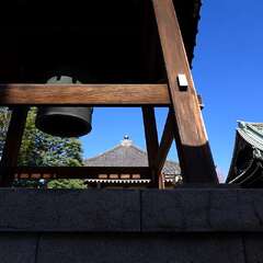 投稿日:2025年2月2日 写真