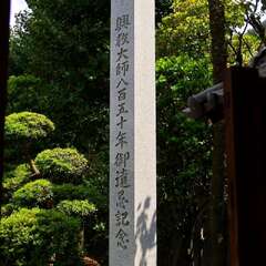 投稿日:2025年2月2日 写真