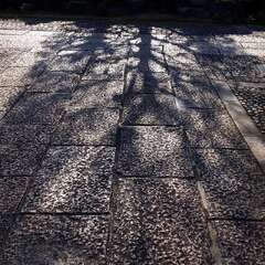 投稿日:2025年2月2日 写真