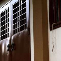 投稿日:2025年2月2日 写真