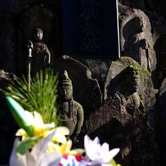 投稿日:2025年2月2日 写真