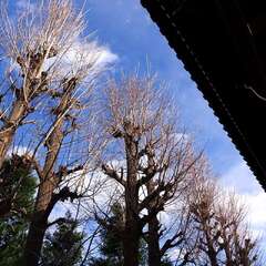 投稿日:2025年2月2日 写真