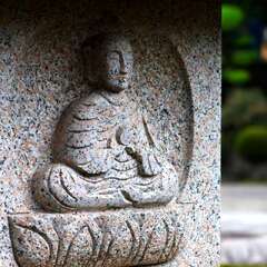 投稿日:2025年2月2日 写真