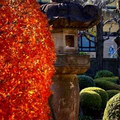 投稿日:2025年2月2日 写真