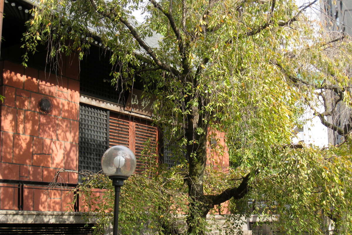 関妙山 善性寺|卍関妙山 善性寺|東京都荒川区 八百万の神