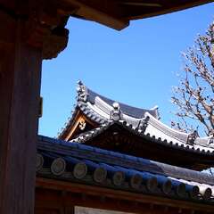 投稿日:2025年3月22日 写真