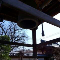 投稿日:2025年3月22日 写真