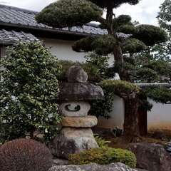 投稿日:2025年2月7日 写真