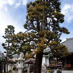 投稿日:2025年2月7日 写真