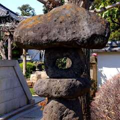 投稿日:2025年3月22日 写真