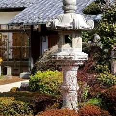 投稿日:2025年2月7日 写真