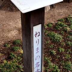 投稿日:2025年2月7日 写真