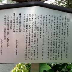 投稿日:2016年6月25日 写真