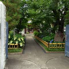 投稿日:2016年6月25日 写真