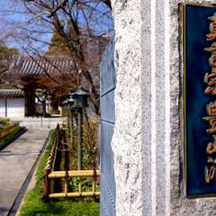 投稿日:2025年3月22日 写真