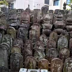 投稿日:2025年2月7日 写真