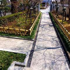 投稿日:2025年3月22日 写真